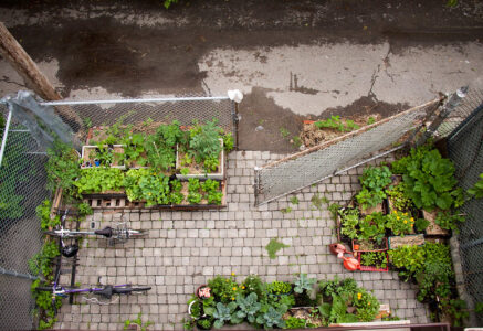 Guide pratique : tout savoir sur les jardins partagés