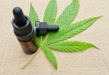 Cannabis thérapeutique : le point sur l’expérimentation française