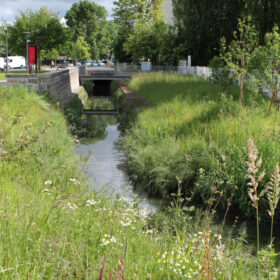 Le Petit Rosne rouvert, à Sarcelles.