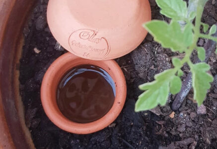 Une olla : une jarre enterrée pour arroser son jardin