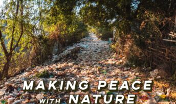 Faire la paix avec la nature avec le Mobile film festival.