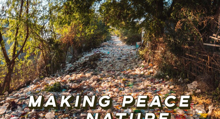 Faire la paix avec la nature avec le Mobile film festival.