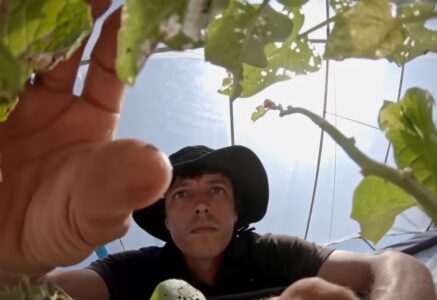 « Quatre mois sur ma biosphère », sur Arte