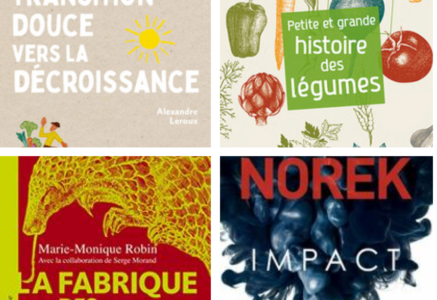 Impact, d’Olivier Norek et 3 autres ouvrages