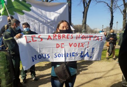 Motivé et efficace : le Groupe national de surveillance des arbres