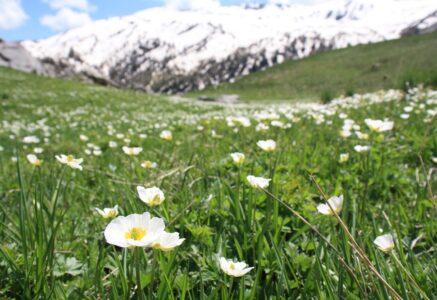 L’air est-il plus pur en montagne ?