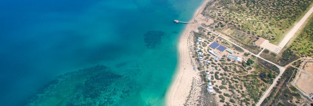 Des températures record ont été enregistrées à Paris.