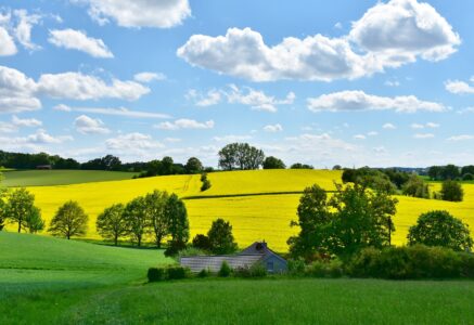 Réforme de la PAC : la transition écologique en jachère