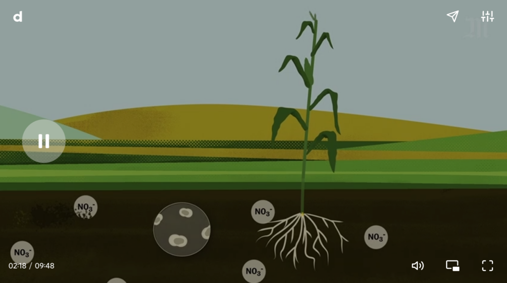 Les plantes ont besoin d'azote, contenu notamment dans les engrais chimiques, pour leur croissance.