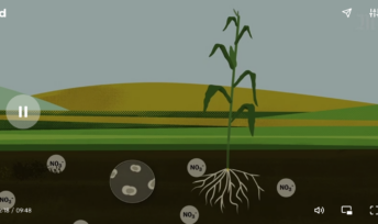 Les plantes ont besoin d'azote, contenu notamment dans les engrais chimiques, pour leur croissance.