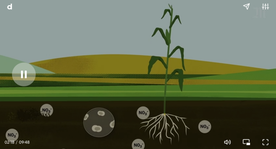 Les plantes ont besoin d'azote, contenu notamment dans les engrais chimiques, pour leur croissance.