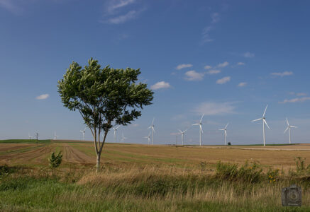 100 % d’énergies renouvelables : est-ce souhaitable ?