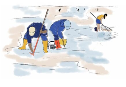 Quelles sont les méthodes de pêche les plus durables ?