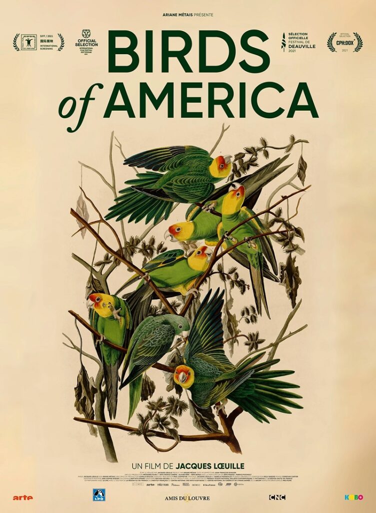Affiche du film Birds of America.