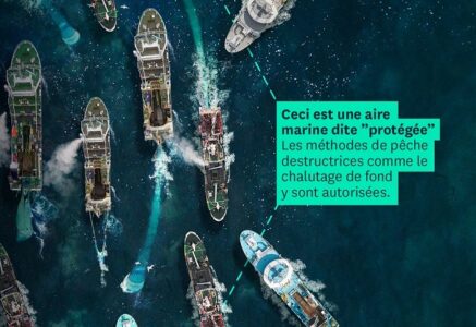 Chalutage : racler les fonds marins est (toujours) autorisé