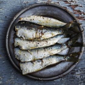 Des sardines. Crédit : Pixabay