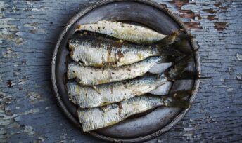 Des sardines. Crédit : Pixabay