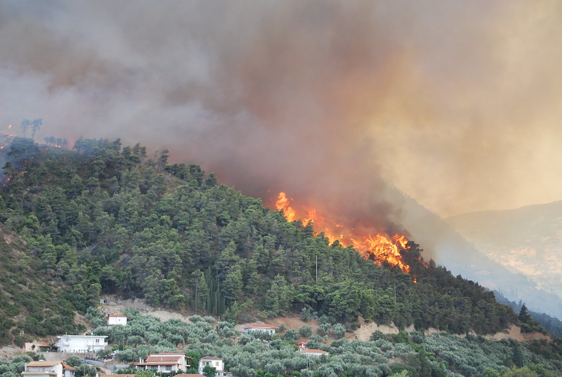 La canicule entraîne des feux de forêt. © Lotus R