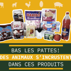 Presure, cochenille, gélatine, des animaux cachés s'incrustent dans ces produits © Foodwatch