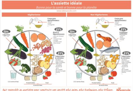 L’assiette idéale
