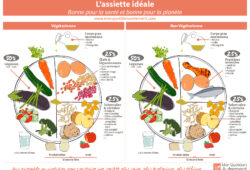 Assiette idéale