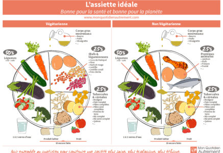 L’assiette idéale