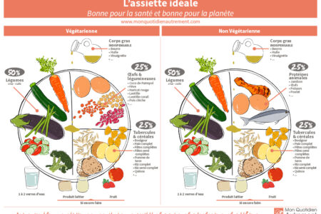 L’assiette idéale