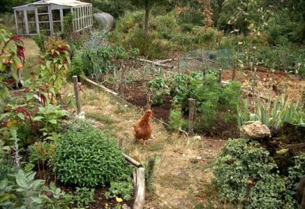 La transmission dans l’agriculture, un enjeu clé