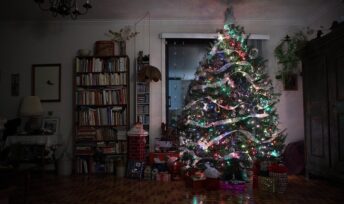 6 millions de sapins naturels sont vendus chaque année en France © Denis-Carl Robidoux - CC BY-NC 2.0