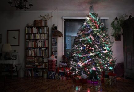 6 millions de sapins de Noël naturels