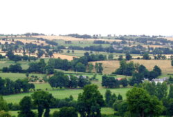 Haies bocagères