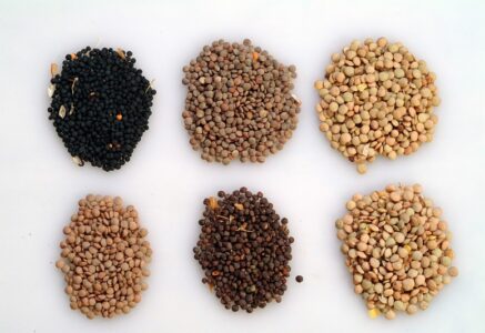 Les lentilles, une filière française entrée en résistance