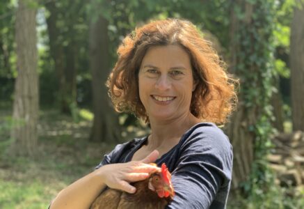 Poule à Dom, des poulaillers en entreprise et dans les collectivités