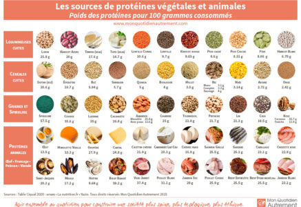 Les sources de protéines végétales et animales