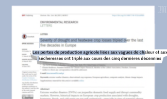 Le manque d'eau dans l'agriculture a de graves conséquences sur les rendements © Capture d'écran vidéo Le Monde