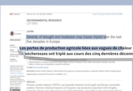 Causes et solutions au manque d’eau dans l’agriculture en vidéo