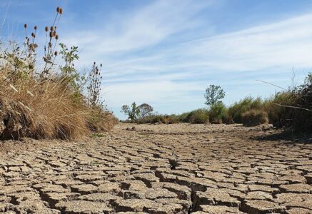 Sécheresse et manque d’eau chroniques en France