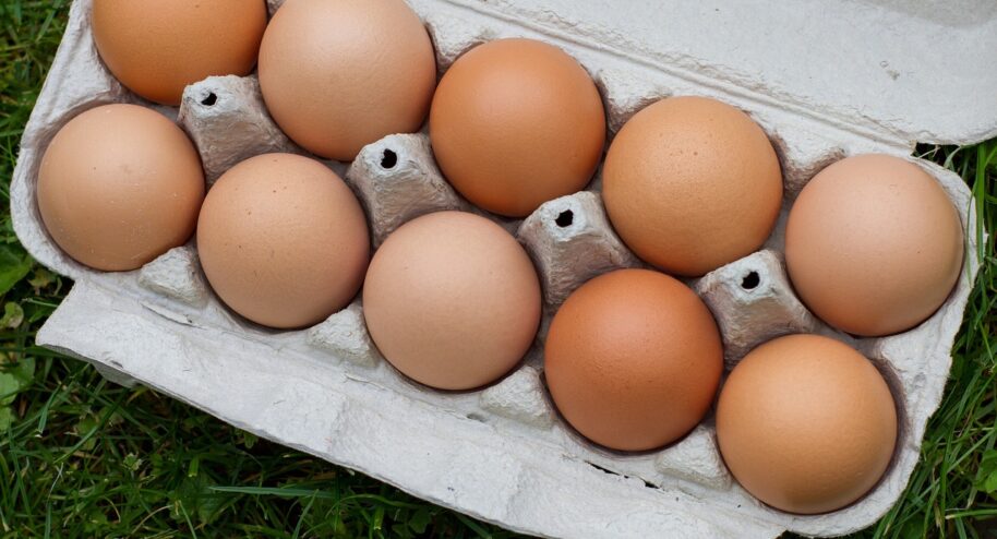 La consommation d'œufs bio en baisse © Whitesession - Pixabay