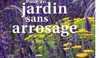 Pour un jardin sans arrosage, d'Olivier Filippi © Actes Sud