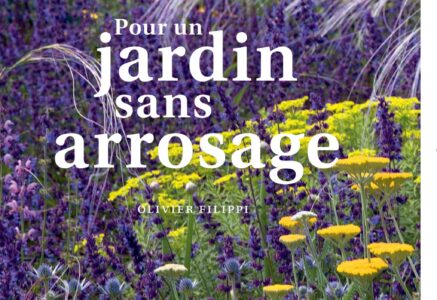 Pour un jardin sans arrosage