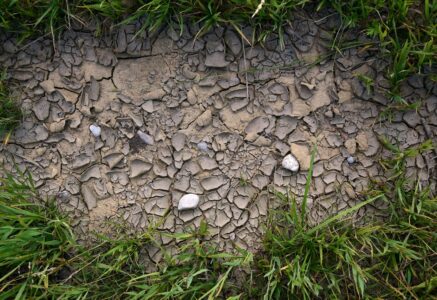 Réchauffement climatique : 3,8 degrés de plus en France d’ici à 2100 ?