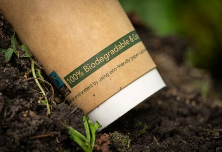 Biodégradable, compostable : on vous explique les différences