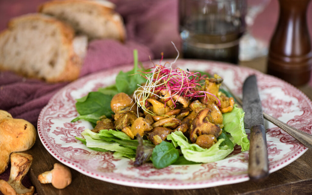 Salade de pieds-de-mouton - Mon Quotidien Autrement - ©E. Montuclard