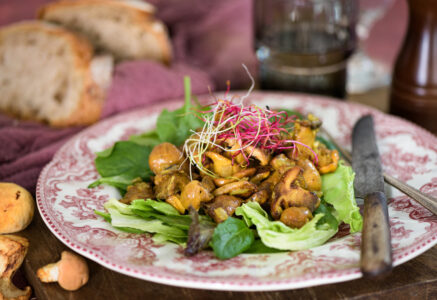 Salade de pieds-de-mouton