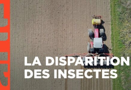 Insecticides : Comment l’agrochimie a tué les insectes