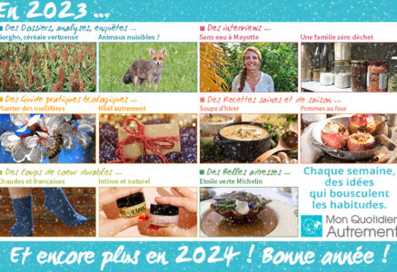 Une année 2024 vivifiante et joyeuse !