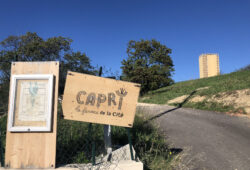 A Marseille