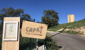 La ferme Capri, modèle d'agriculture urbaine à Marseille © Mon Quotidien Autrement