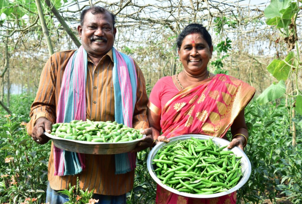 En Inde, le pari réussi d'une agriculture écologique et rentable - crédit photo APCNF 2023