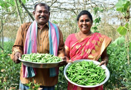 En Inde, le pari réussi d’une agriculture écologique et rentable